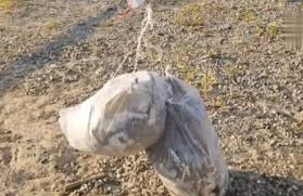 VIDEO | North Korea sends balloons of waste and excrement across the border  to South Korea - Baltic News Network