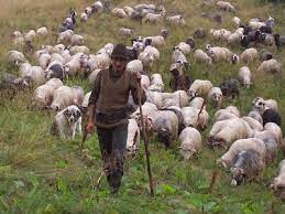 Biserica sfîntul dumitru, chișinău (chisinau, moldova). Sfantul Dumitru Datini Si Superstitii Calendar Ortodox
