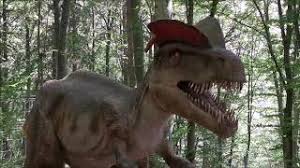 Všetky voľnočasové aktivity v lokalite rasnov. Dino Parc Rasnov ActivitÄƒÅ£i Outdoor Rasnov Bv Unde Mergem