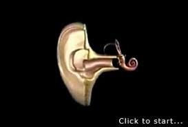 Acosound is able to offer innovative solutions based on our strong partnertship with you. Tinnitus Masker Sonic Designs By Jon Dattorro For Relief Of Ringing Ears Mp3 Downloads Download Sound Sounds Tinnitus Maskers Tinnitus Masking Treatment Help Ear Help Hearing Sound Therapy Masking Tinnitus