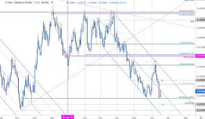 kiwi price outlook new zealand dollar counter offensive