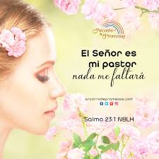 We did not find results for: Nada Te Faltara Arcoiris De Promesas