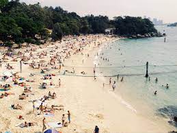Search for beach rentals with us. Sydney S Ten Best Harbour Beaches