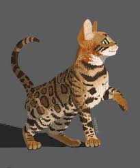 Div Durv (@divdurv.bsky.social) — Bluesky