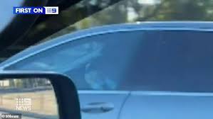 Texting while driving is dangerous, because you aren't suppose to take your eyes off the road for more than two seconds at a time. Driver Spotted Reading While Driving Down A Busy Road But The Video Has Raised More Questions Daily Mail Online