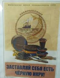 images?q=tbn%3AANd9GcTY1r0ETMxyffP46lEJA2Snj0hS70CrpZOE_g&usqp=CAU