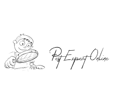 * call us today before 2 p.m. Pest Expert Online Home Facebook