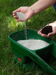 The Grass Is Always Greener On The Other Side Origin Learn How To Choose The Right Grass Seed To Grow The Lawn Of Your Dreams Lawn Care Lawn Care Tips Green Lawn