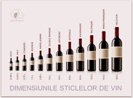 Red Wine Bottle Sizes Wine Bottle Sizes Wine Bottle Red Wine Bottle