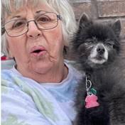 Search for Obituaries