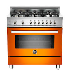year awards for the italian bertazzoni