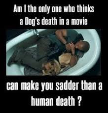 Share the best gifs now >>>. 46 I Am Legend Ideas I Am Legend Legend Will Smith