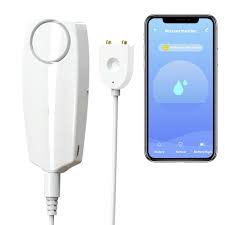 On your first run, you'll be asked for a rig password but since you have no interne… Gmaxt Water Leak Detector 100 Db Volume Tuya Smart App Wifi Water Sensor Alarms Water Monitor Alarm With Rechargeable Remote Monitor Leak Ideal For Home Security Basement Bath Cellar Washer Buy Online In Bulgaria At Bulgaria Desertcart Com Productid