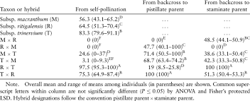 Image result for Exochaenium oliganthum