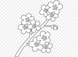 The tulip, national flower of netherlands, is the symbol of a declaration of love and flowers with the. Gambar Bunga Sakura Mewarnai Ahmedatheism Gambar Mewarnai Bunga Sakura Gambar Bunga Tulip Wiring Diagram Database Collection Of B Bunga Sakura Bunga Warna