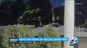 Lady gaga's alleged dognappers arrested and charged for robbery, attempted murder of dog walker. Lady Gaga Disturbing Surveillance Video Shows Shooting Of Singer S Dog Walker Two French Bulldogs Stolen In Hollywood Abc7 Los Angeles