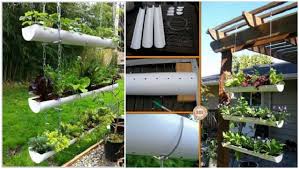 A rooftop garden can be an oasis in an urban setting, and here are some ideas to consider when planning your rooftop garden. 16 Genius Vertical Gardening Ideas For Small Gardens Balcony Garden Web