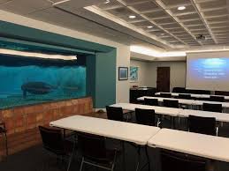Bishop Museum Of Science And Nature Events What Makes A Meeting More Exciting Manatees Our Board Room Has A Window To Our Manatee Rehabilitation Tank Perfect Lo Room Baby Shower Cocktails Boardroom