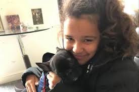 Heartbroken family fundraising to get eight-month-old Pedro the dog his  life-saving operation