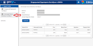 Μέσω αυτού δίνεται η δυνατότητα πληροφόρησης για την ασφαλιστικής σας. Anakoinwsh E Efka