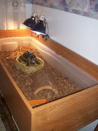 Tortoise Home Idea Made Out Of A Repurposed Book Case And A Under The Bed Storage Container Tortoise Cage Tortoise House Russian Tortoise
