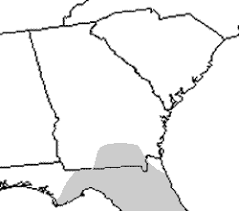 The striped crayfish snake (liodytes alleni) is a species of semiaquatic north american snake in the family colubridae. Species Profile Striped Crayfish Snake Regina Alleni Srel Herpetology