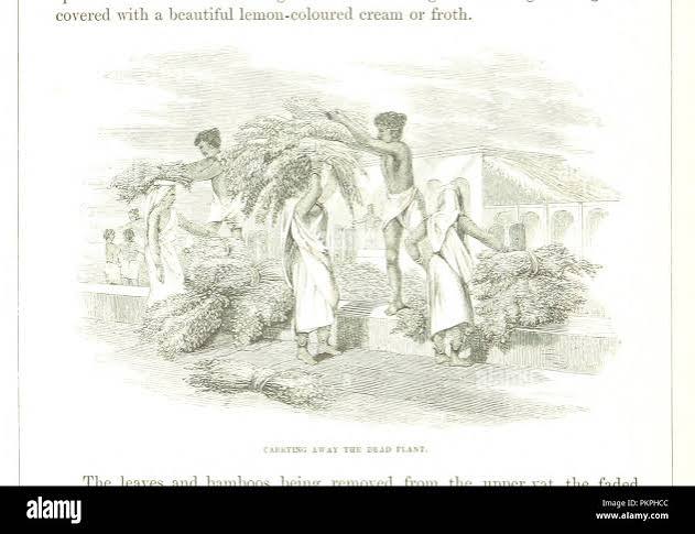 Image from page 144 of 'Rural Life in Bengal; illustrative of Anglo-Indian suburban life; more particularly in connection with the planter and peasantry . Letters from an artist in India to his
