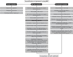 flow chart of the described method sample preparation is