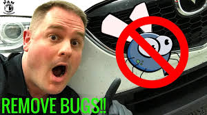 Jul 16, 2021 · baking soda: How To Remove Bugs From A Car Super Easy Youtube