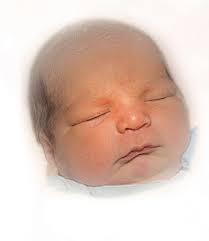 Four Feet Under: Young lives lost