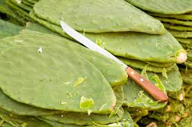 Nopales are popular throughout mexico, central america and latino communities in the united states. Cactus Casserole With Rice Ancho Chiles And Cheese Homesick Texan