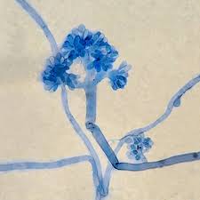 Image result for Cincinnobotrys