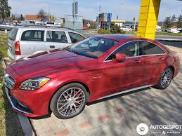 Image result for Hyacinth Red 2016 S