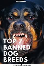 Pin On Dog Facts Facts About Dogs
