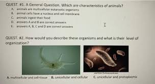 We did not find results for: Quest 1 A General Question Which Are Chegg Com