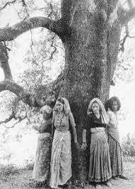 The chipko movement was triggered by a government decision to allot forest land to a sports goods company.◀️. Chipko Movement Tottenham Trees
