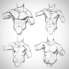 Stanprokopenko Human Anatomy Drawing Drawing Course Figure Drawing