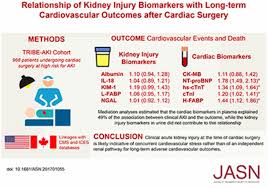 How quickly can you become tefl qualified and find a job? Relationship Of Kidney Injury Biomarkers With Long Term Cardiovascular Outcomes After Cardiac Surgery American Society Of Nephrology