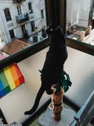 1.0.7 for your android moto g6 play, file size: No Wifi Calling On Moto G6 Unlocked Phone