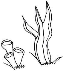 Push pack to pdf button and download pdf coloring book for free. Pin On Therapy Stuff