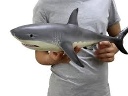 Uuglyway11 Cute Lifelike Baby Shark Facebook