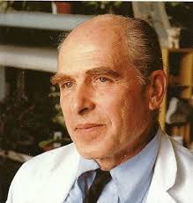 GEORGE STREETER Obituary (2013)