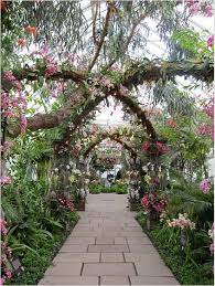 Ny Botanical Gardens Outdoor Eye Candyh Ny Botanical Garden Winter Garden Botanical Gardens