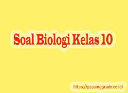 Soal uas biologi kelas 10 semester 1 kurikulum 2013. Soal Biologi Kelas 10 Semester 1 2 Beserta Jawabannya