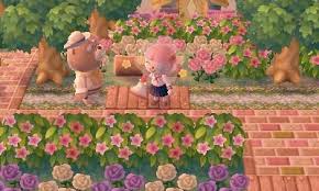 Pin On Animal Crossing