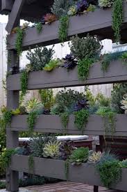 Trennwand Diy Sichtschutz Fur Terrasse Grunwand Regal Mit Sukkulenten Vertikaler Garten Garten Garten Ideen