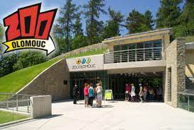 17,701 likes · 425 talking about this. Zoo Olomouc Svaty Kopecek Tipy Na Vylety A Zabava