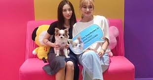 + add or change photo on imdbpro ». Clc Elkie And Twice Tzuyu Are Friendship Goals In These Photos Koreaboo