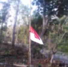 Pengibaran bendera setengah tiang & taburkan bunga di peringatan tragedi trisakti. Hari Ini Instansi Pemerintah Dan Warga Kibarkan Bendera Merah Putih Setengah Tiang Website Hargosari