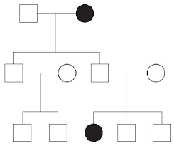 Pedigree With Reduced Penetrance Still Suggestive Of